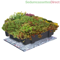 Thumbnail for Biodiverse sedumcassettes met een mix van sedumsoorten en kruiden, makkelijk te plaatsen.